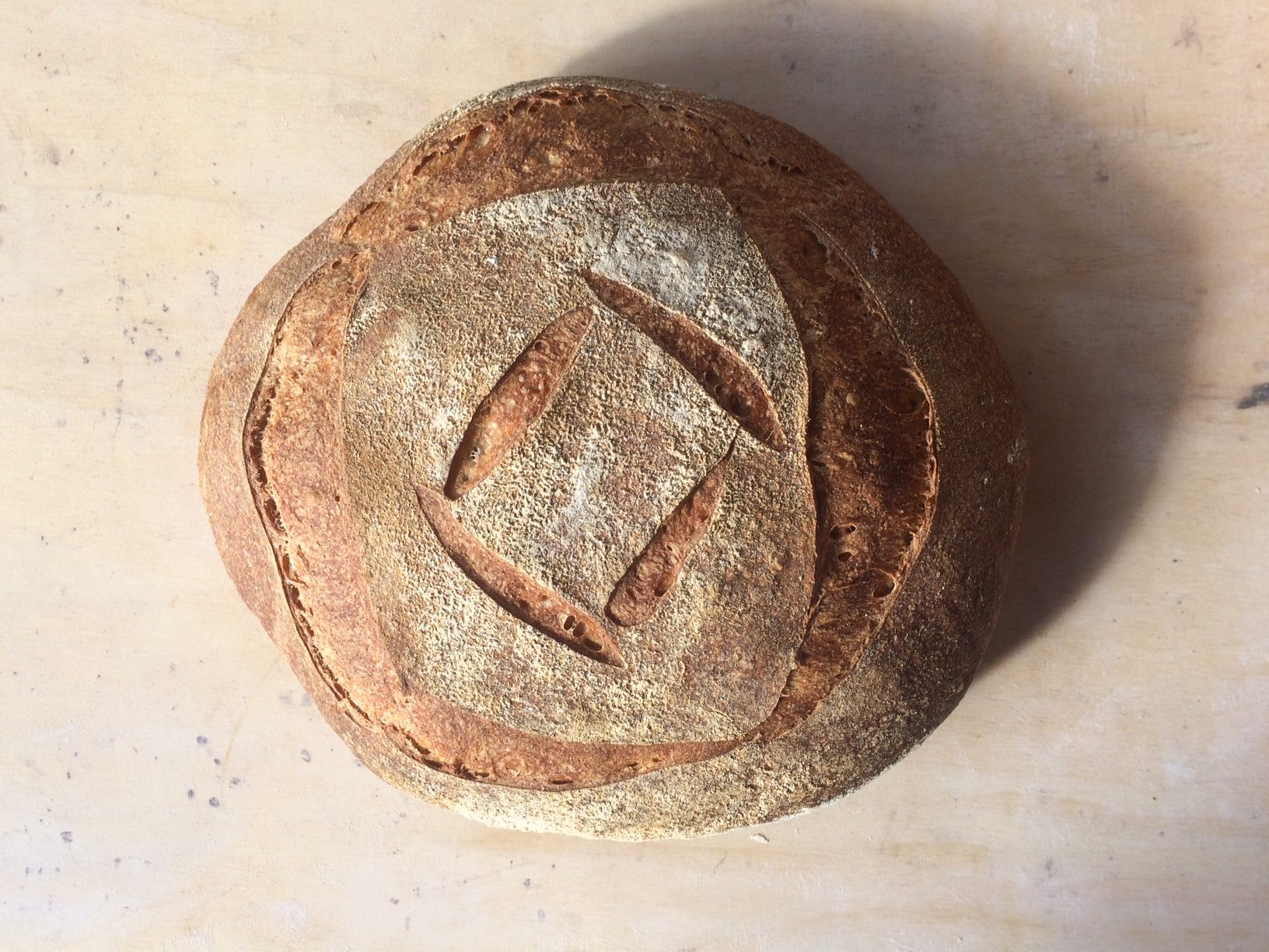 Top-down view of a scored sourdough loaf